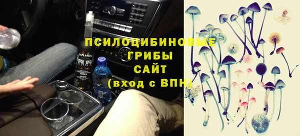 mix Абаза